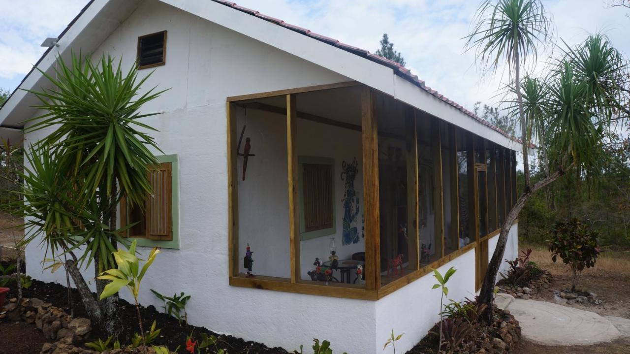 Pine Ridge Lodge San Ignacio Esterno foto