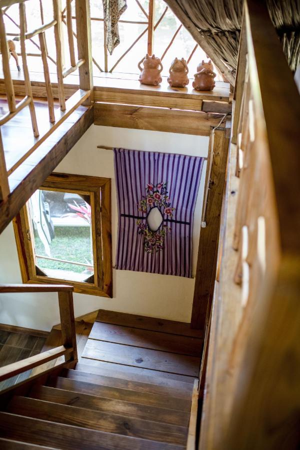 Pine Ridge Lodge San Ignacio Esterno foto