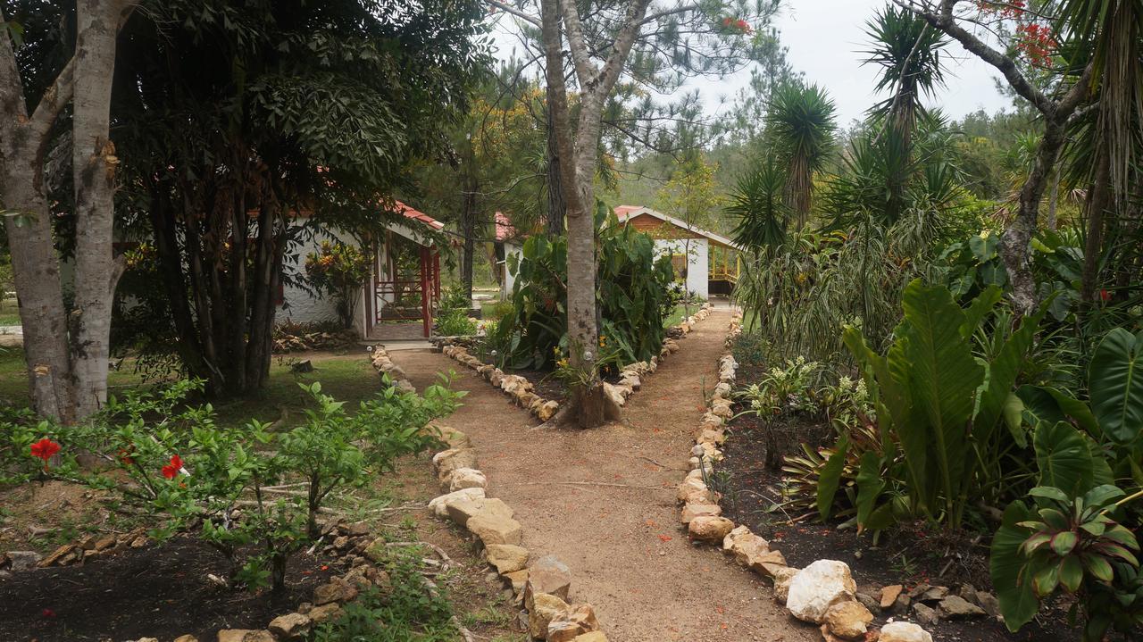 Pine Ridge Lodge San Ignacio Esterno foto
