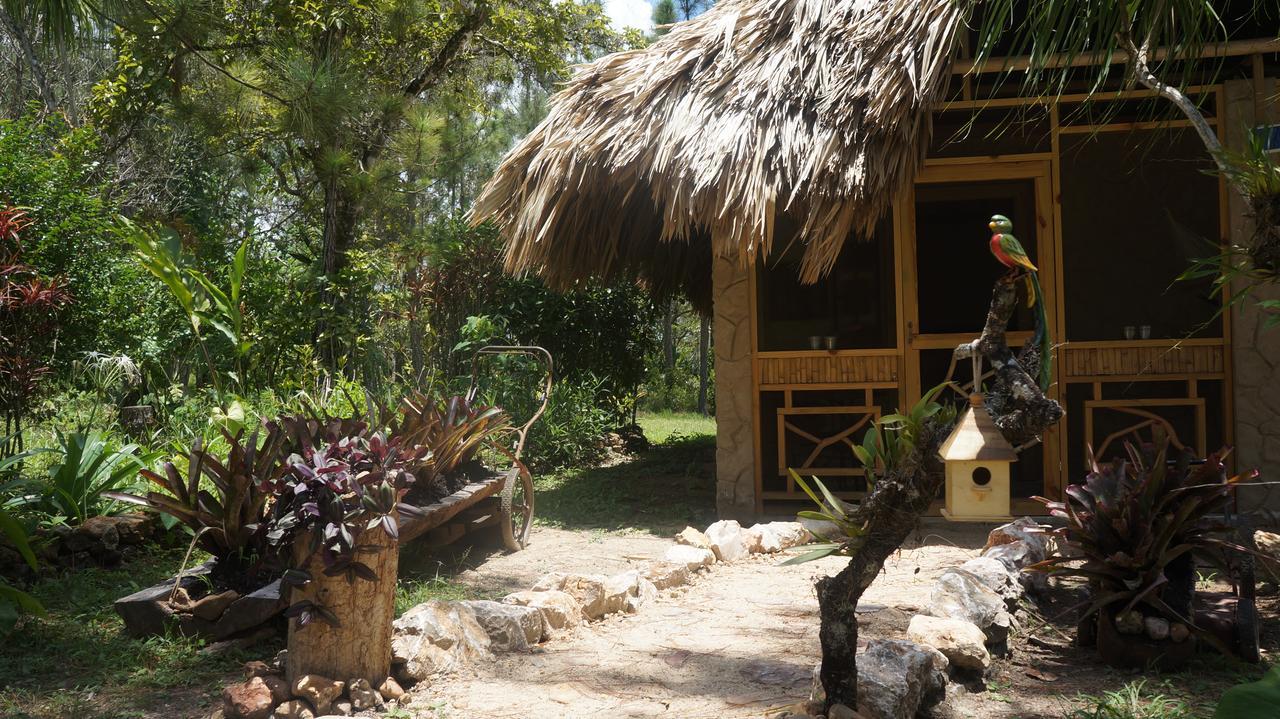 Pine Ridge Lodge San Ignacio Esterno foto